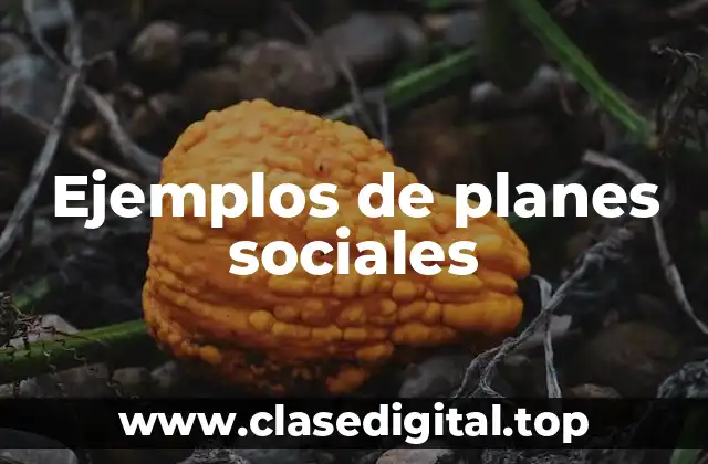 Ejemplos de planes sociales