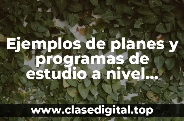 Ejemplos de planes y programas de estudio a nivel superior