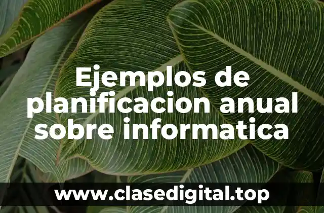 Ejemplos de planificacion anual sobre informatica