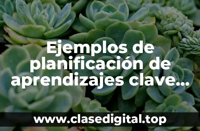 Ejemplos de planificación de aprendizajes clave en preescolar