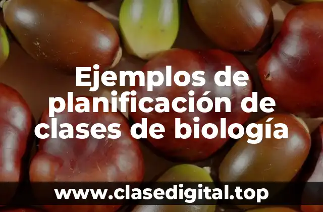 Ejemplos de planificación de clases de biología