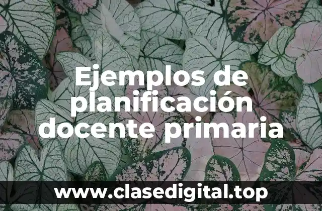 Ejemplos de planificación docente primaria