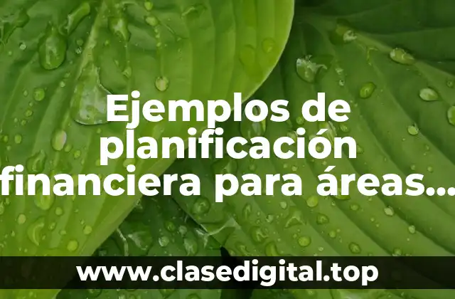 Ejemplos de planificación financiera para áreas de finanzas en empresas