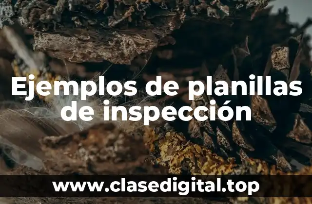 Ejemplos de planillas de inspección