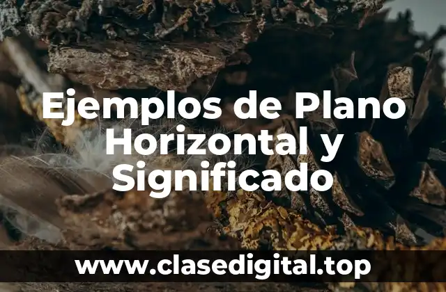 Ejemplos de Plano Horizontal y Significado