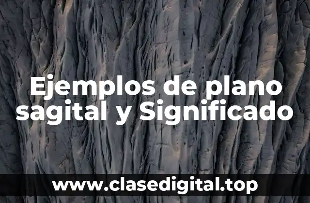 Ejemplos de plano sagital y Significado
