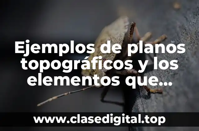 Ejemplos de planos topográficos y los elementos que deben contener