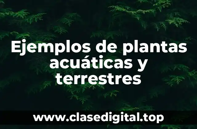 Ejemplos de plantas acuáticas y terrestres