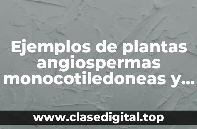 Ejemplos de plantas angiospermas monocotiledoneas y dicotiledoneas