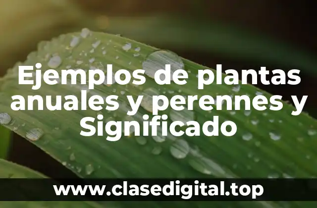 Ejemplos de plantas anuales y perennes y Significado