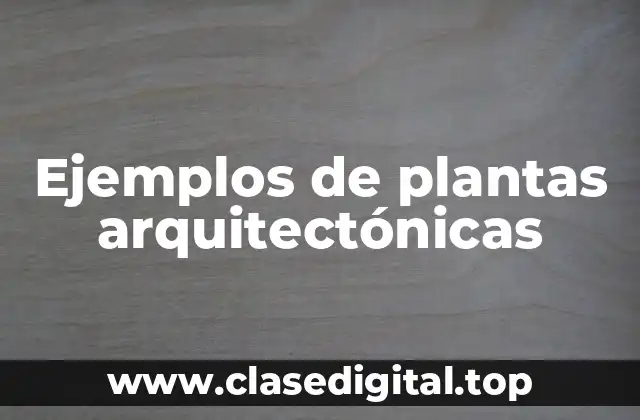Ejemplos de plantas arquitectónicas