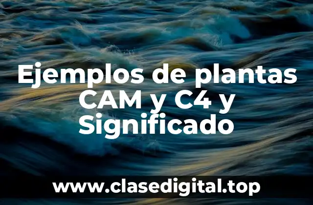 Ejemplos de plantas CAM