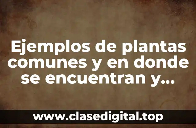 Ejemplos de plantas comunes y en donde se encuentran y Significado