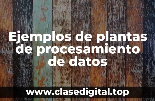 Ejemplos de plantas de procesamiento de datos