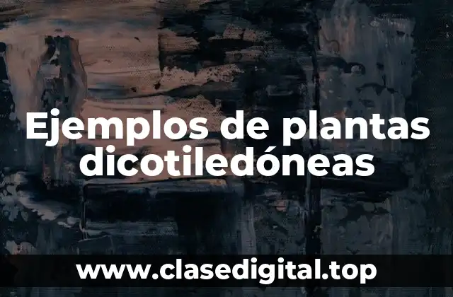 Ejemplos de plantas dicotiledóneas