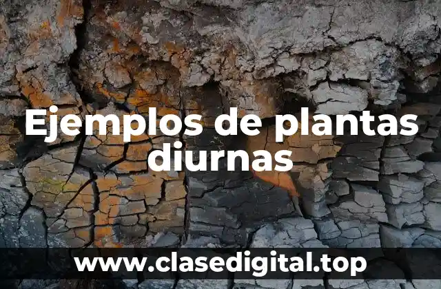Ejemplos de plantas diurnas