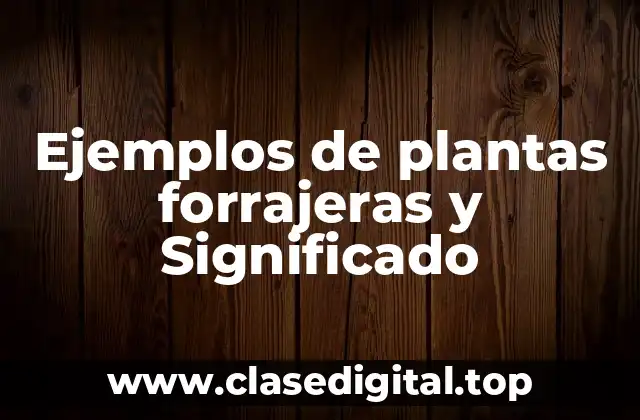 Ejemplos de plantas forrajeras y Significado