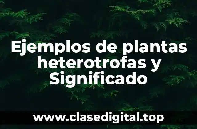 Ejemplos de plantas heterotrofas
