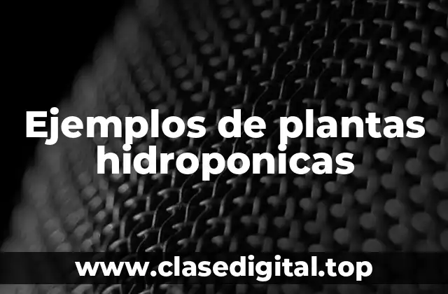 Ejemplos de plantas hidroponicas