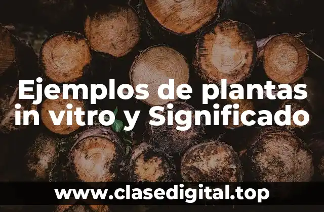 Ejemplos de plantas in vitro