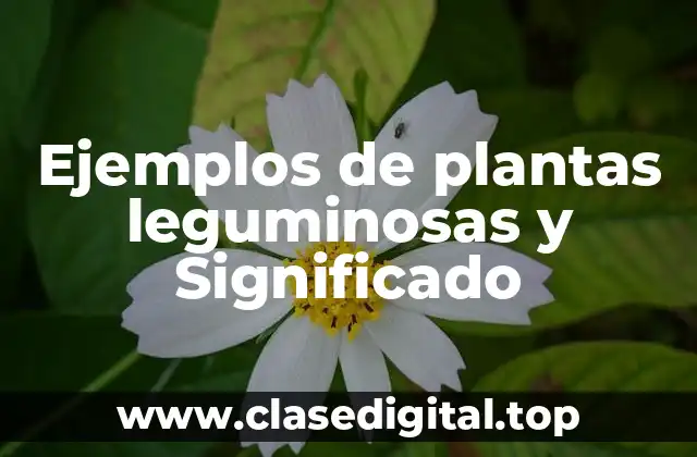 Ejemplos de plantas leguminosas