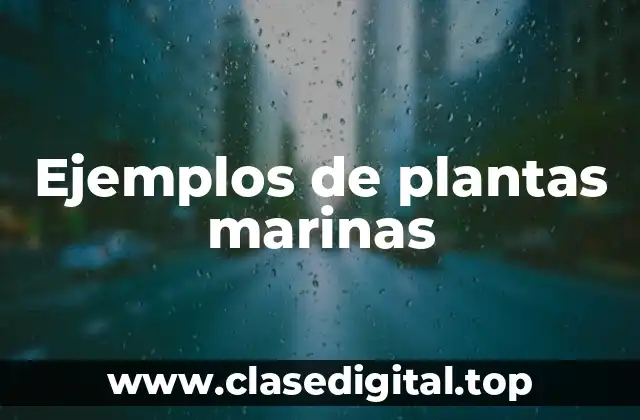 Ejemplos de plantas marinas