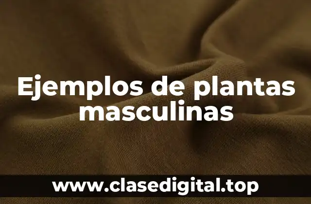 Ejemplos de plantas masculinas