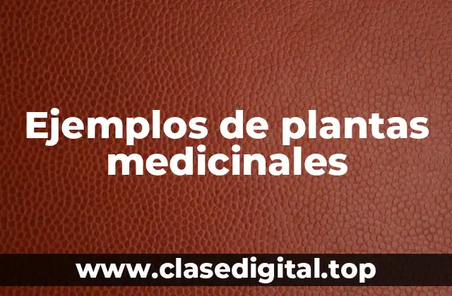 Ejemplos de plantas medicinales
