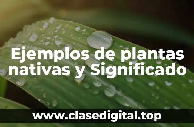 Ejemplos de plantas nativas y Significado