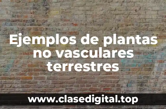 Ejemplos de plantas no vasculares terrestres