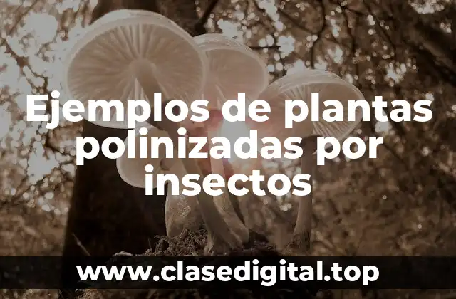 Ejemplos de plantas polinizadas por insectos