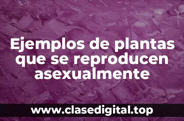 Ejemplos de plantas que se reproducen asexualmente