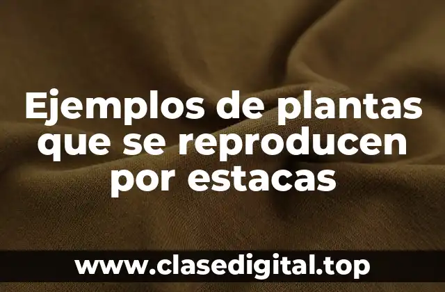 Ejemplos de plantas que se reproducen por estacas
