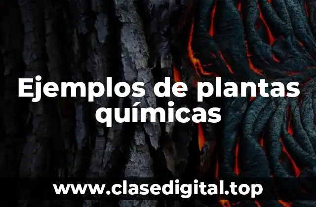 Ejemplos de plantas químicas