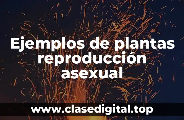 Ejemplos de plantas reproducción asexual