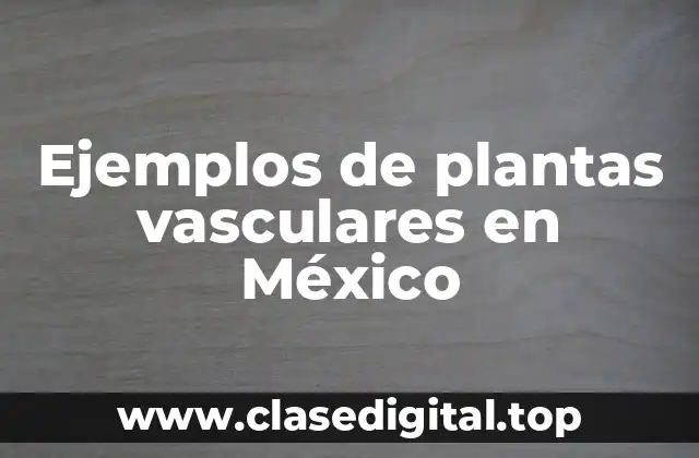 Ejemplos de plantas vasculares en México
