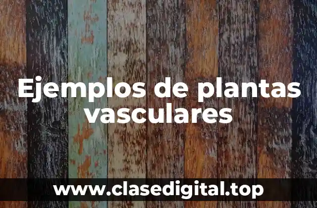 Ejemplos de plantas vasculares