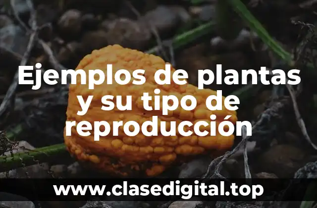 Ejemplos de plantas y su tipo de reproducción