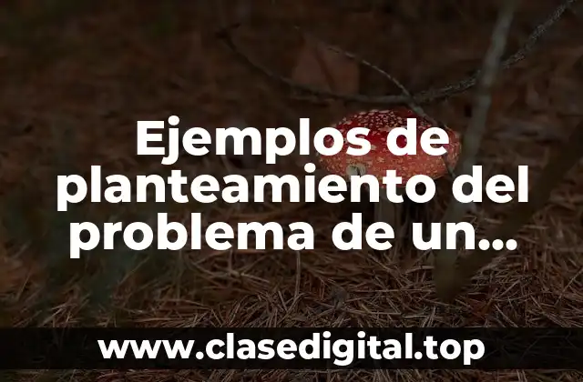 Ejemplos de planteamiento del problema de un proyecto comunitario