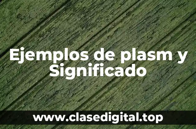 Ejemplos de plasm y Significado