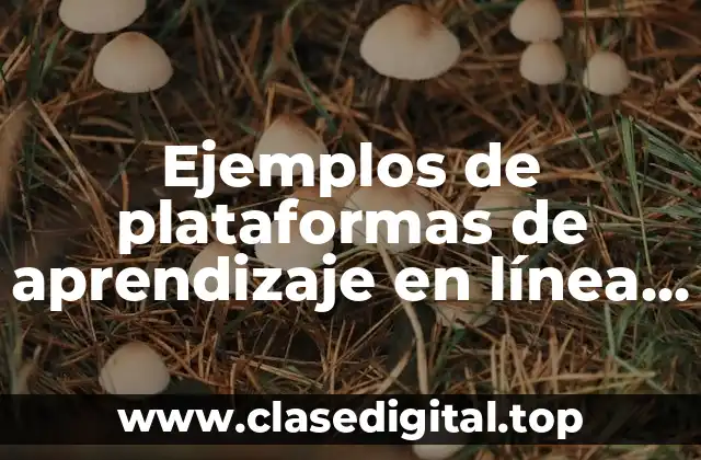 Ejemplos de plataformas de aprendizaje en línea (M