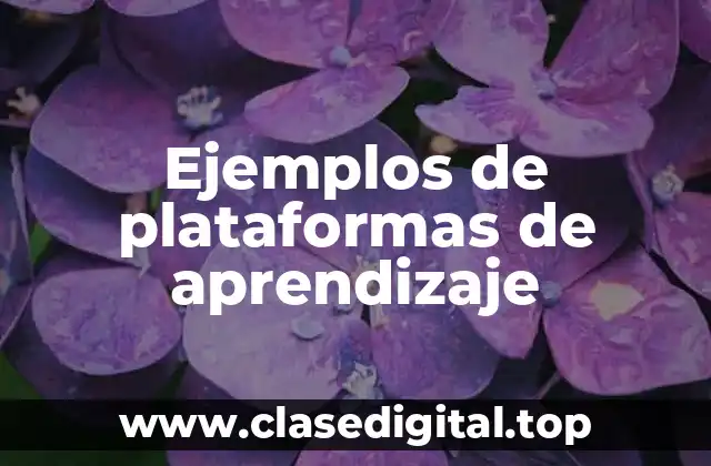 Ejemplos de plataformas de aprendizaje