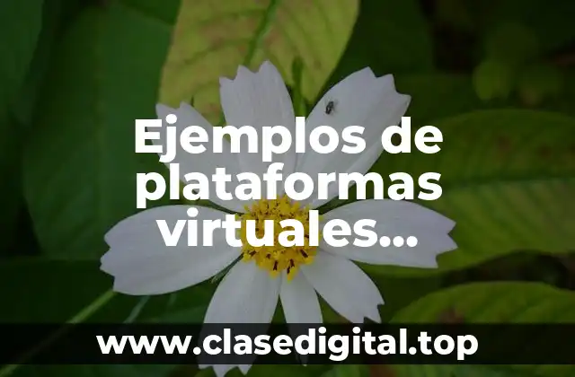 Ejemplos de plataformas virtuales comerciales