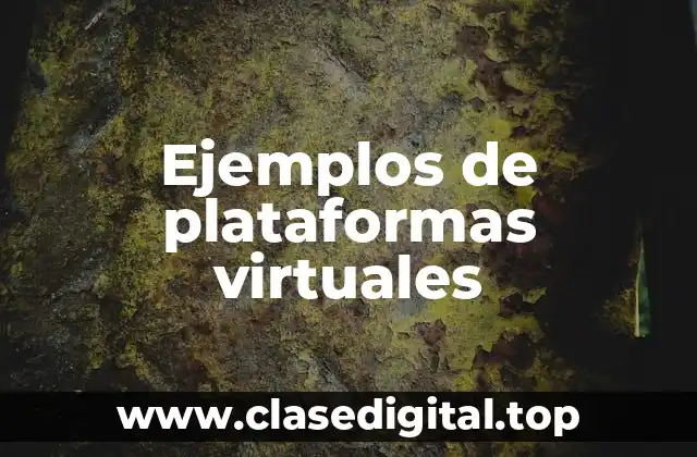 Ejemplos de plataformas virtuales