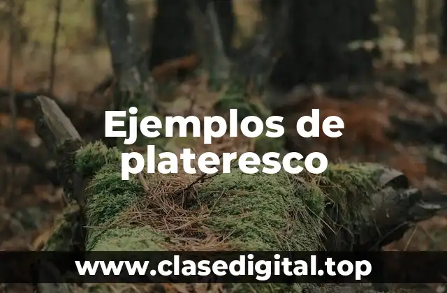 Ejemplos de plateresco