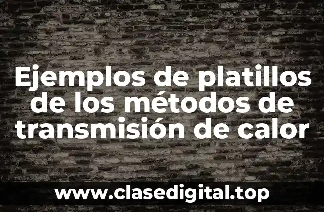 Ejemplos de platillos de los métodos de transmisión de calor