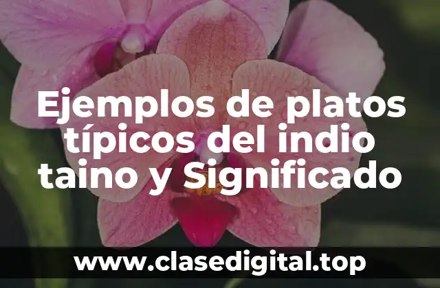 Ejemplos de platos típicos del indio taino y Significado