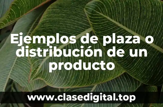 Ejemplos de plaza o distribución de un producto