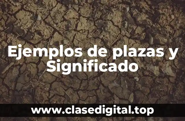 Ejemplos de plazas y Significado