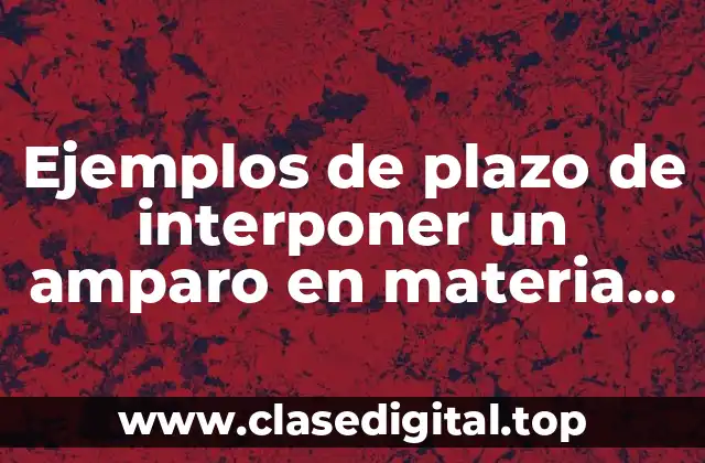 Ejemplos de plazo de interponer un amparo en materia penal